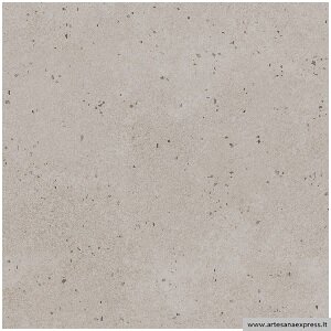 1841 Gris 100x100 rectificado