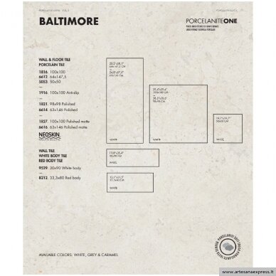 Baltimore 1821 98x98 Rectificado Pulido grey 3