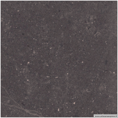 Cartuja Negro 25x25 1