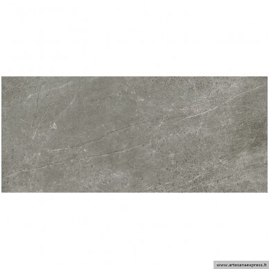 Trevi 6615 Rectificado Pulido grey 63x146