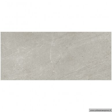 Trevi 6615 Rectificado Pulido silver 63x146